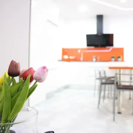 Smart Tech Plaza Flat شقة *